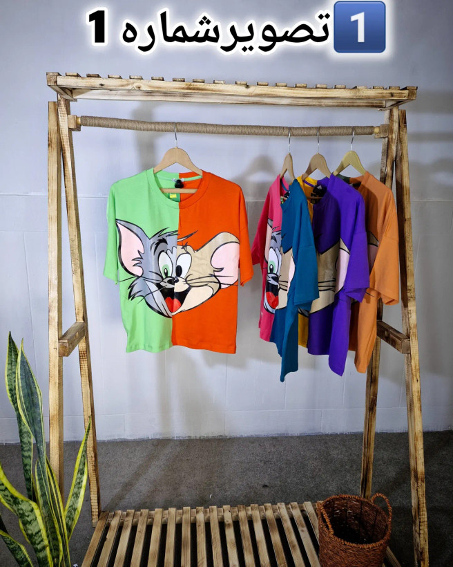 تصویر شماره1