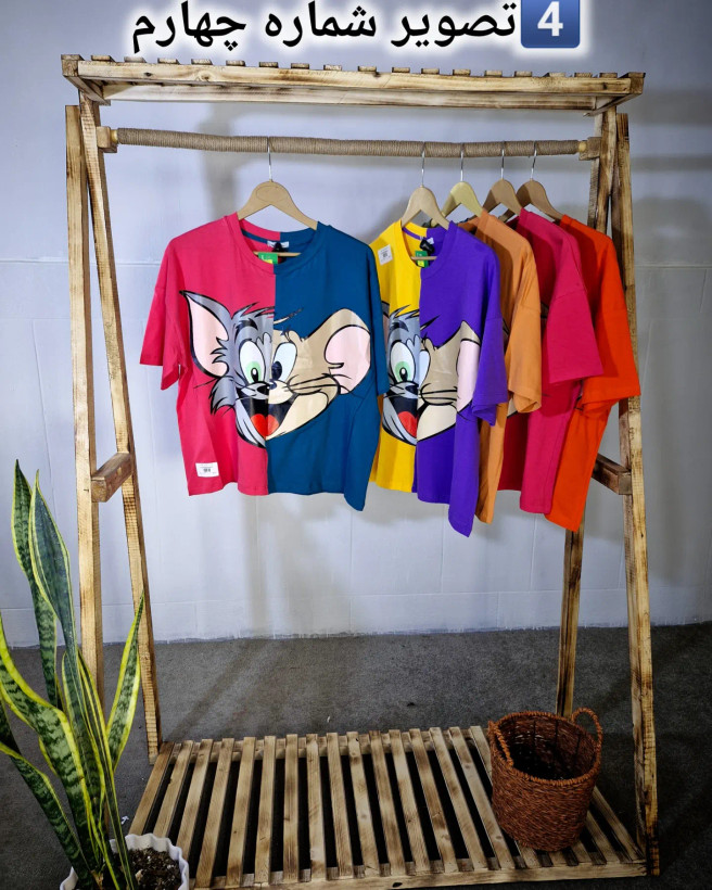 تصویر شماره 4